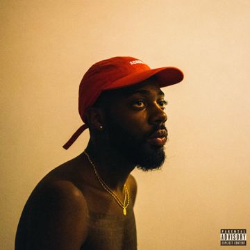 Gang Over Luv-cover