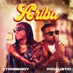ARIBA-cover
