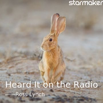 Heard It on the Radio-cover