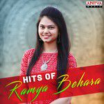 Hey Babu(From "Devadas")-cover