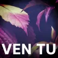 coveImg