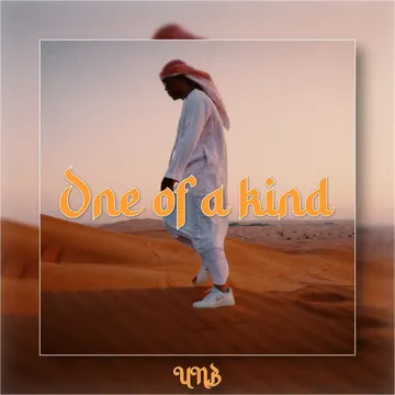One of a Kind-cover