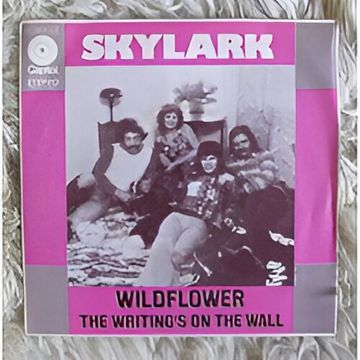 Wildflower-cover