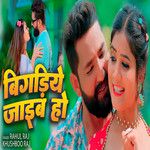 Bigadiye Jaib Ho-cover