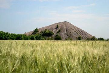 олени плюс