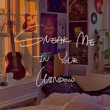 Sneak me in your window-cover