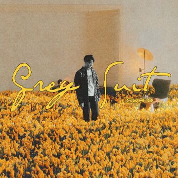 Grey Suit-cover