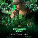 Terre Pyaar Mein-cover