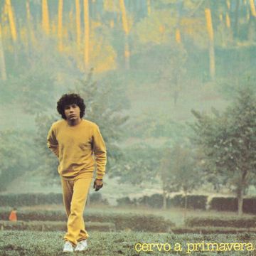 Cervo A Primavera-cover