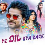 Ye Dil Kya Kare-cover
