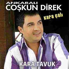 Tavuk 