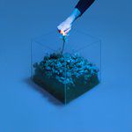 What&039;s It Gonna Take-cover