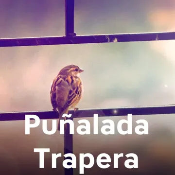 Puñalada Trapera-cover