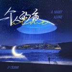 一个人的夜-cover