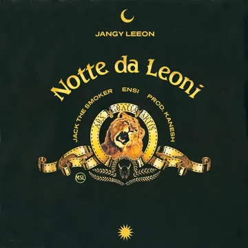 Notte da leoni-cover