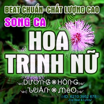 Hoa Trinh Nữ