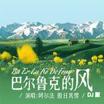 巴尔鲁克的风(DJ版)