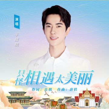 只怪相遇太美丽-cover