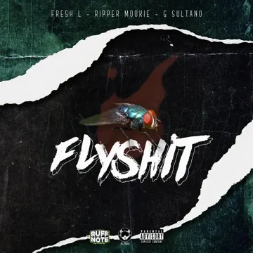 Flyshit-cover