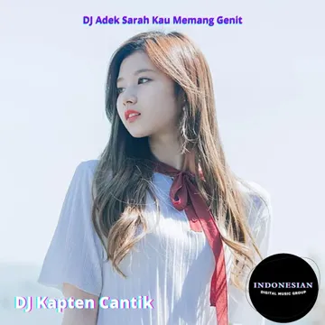 DJ Adek Sarah Kau Memang Genit-cover