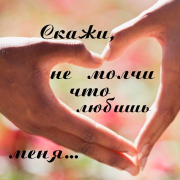 Скажи не молчи (дуэт)-cover