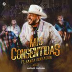 No Pude Enamorarme Mas-cover