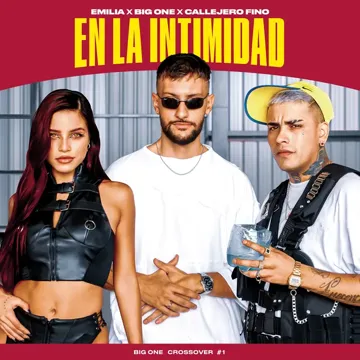 En La Intimidad   CROSSOVER 1-cover