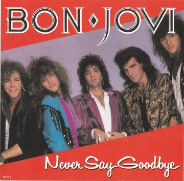 Never Say Goodbye-cover