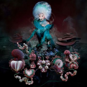 Fungal City-cover