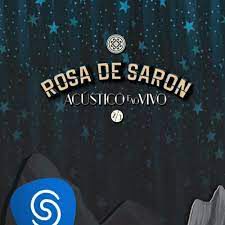 rosa-de-saron-invisvel-cover-image