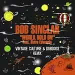 World Hold On (Radio Edit) [Vintage Culture &amp; Dubdogz Remix]-cover