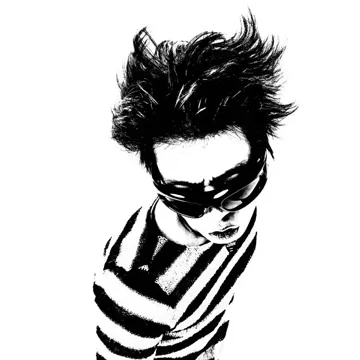COLORFUL ZEBRA-cover