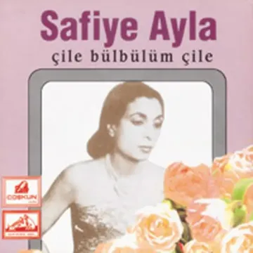 Ah Bu Gönül Şarkıları-cover