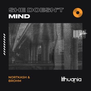 She Doesn't Mind-cover