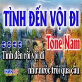 Tình Đến Vội Đi-cover