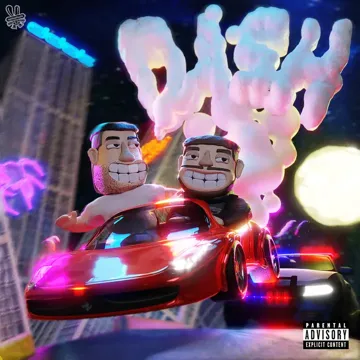 Dash-cover