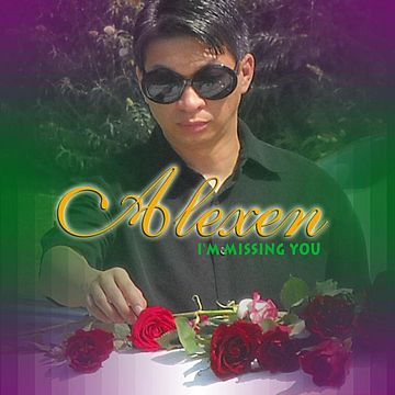 I'm Missing You-cover