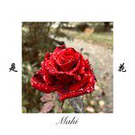 是花-cover