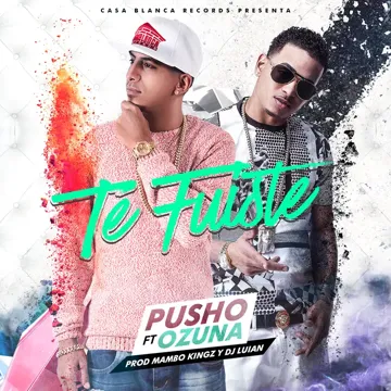ozuna-te-fuistes-cover-image