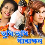 nipa-nupur-baje-cover-image