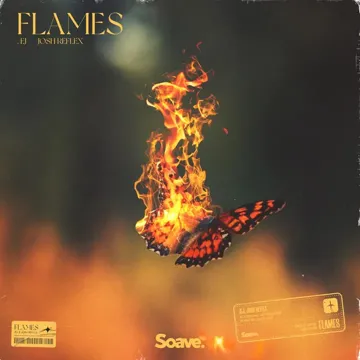 Flames-cover