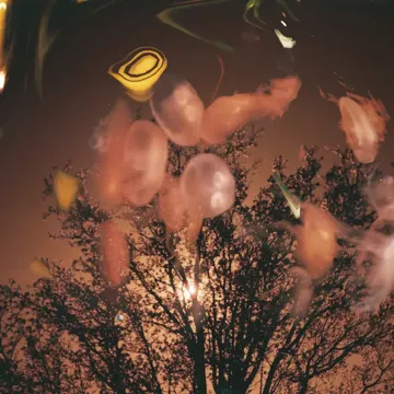 Geriye Dönülmez-cover