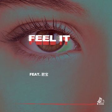 Feel It (feat.肥宝、DJ EDI)-cover