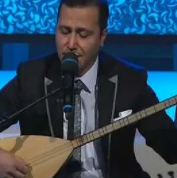 Bahçada Yeşil Çınar-cover