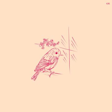 632-cover