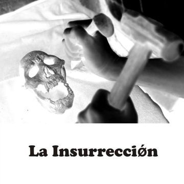 Insurreccion-cover