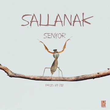 Sallanak-cover