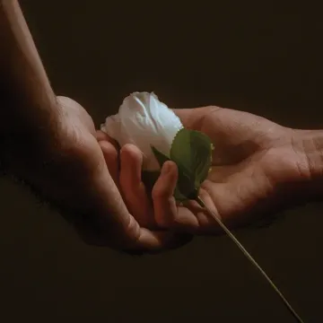 coveImg