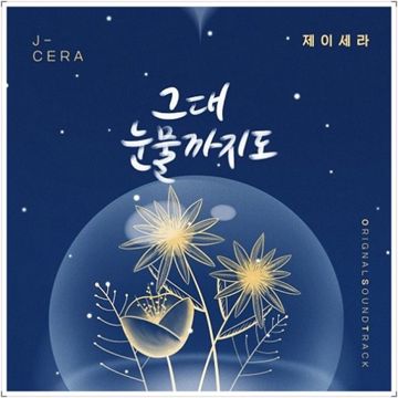 그대눈물까지도(Inst.)_보글-cover