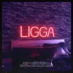 Ligga-cover